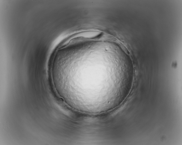 X0000091340246200709071224