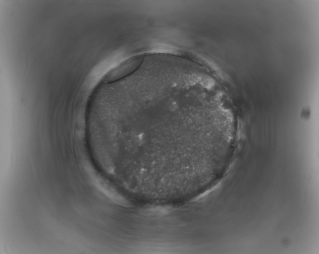 X0000091340247200709071224