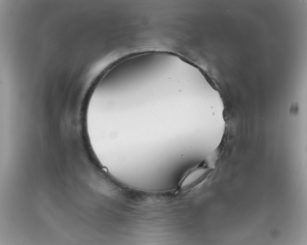 X0000091340248200709071224