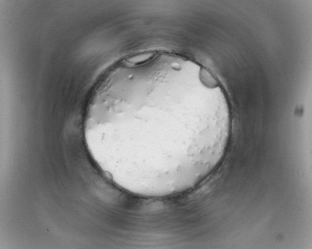 X0000091340249200709071224