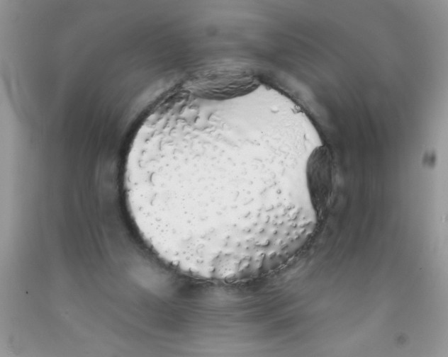 X0000091340250200709071224