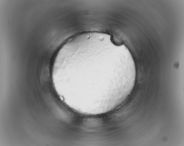 X0000091340251200709071224