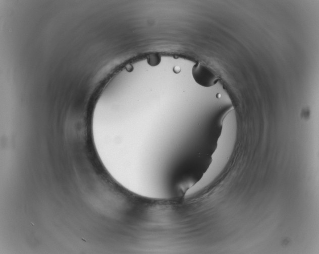 X0000091340252200709071224