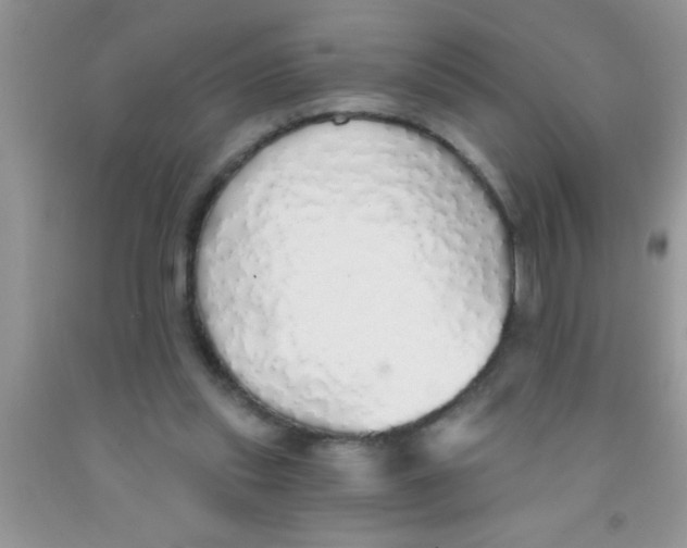 X0000091340253200709071224