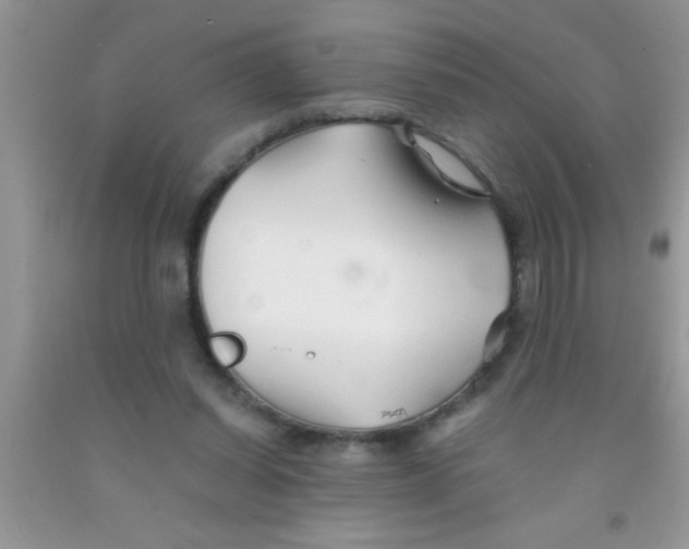 X0000091340254200709071224