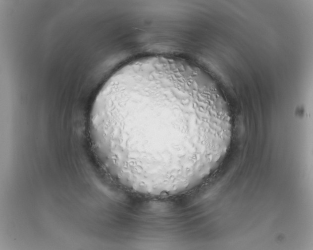 X0000091340255200709071224