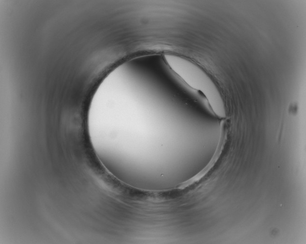 X0000091340256200709071224