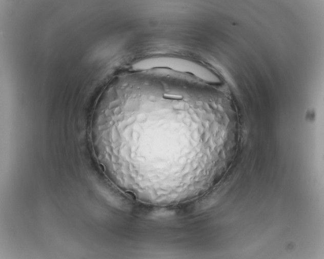 X0000091340257200709071224