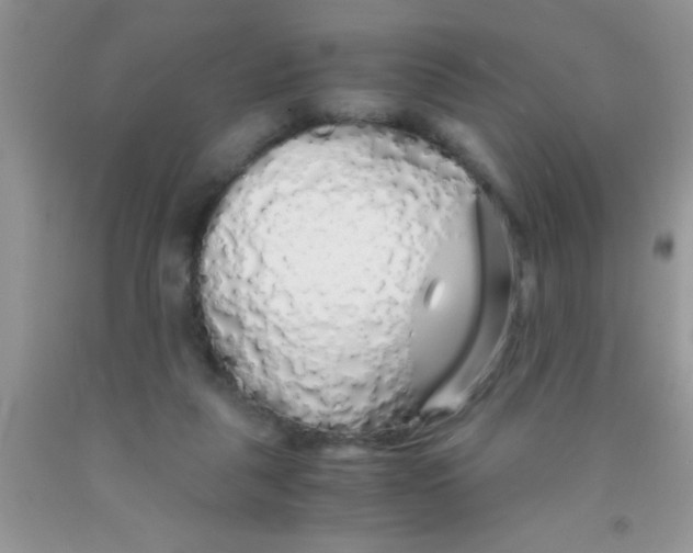 X0000091340259200709071224