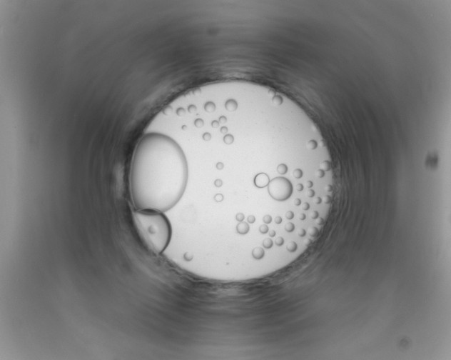 X0000091340262200709071224