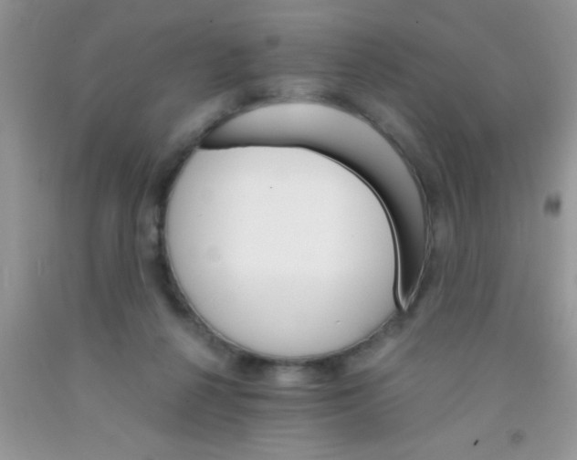 X0000091340264200709071224