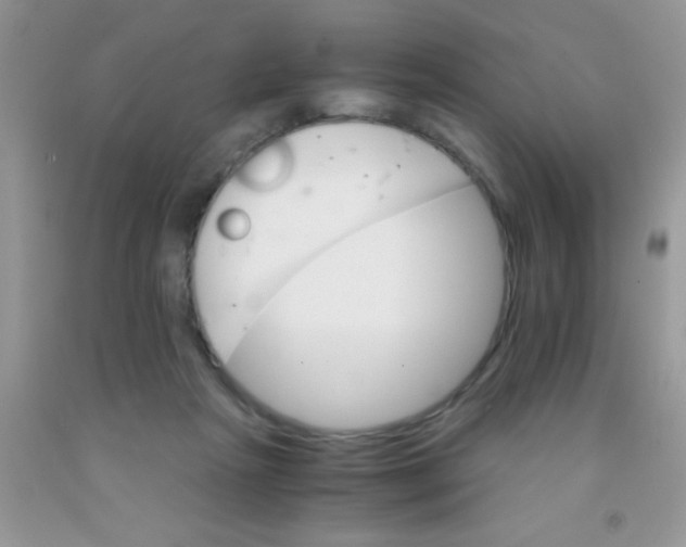 X0000091340265200709071224