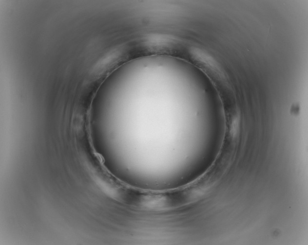 X0000091340266200709071224