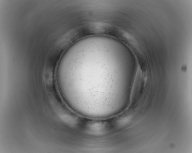 X0000091340267200709071224