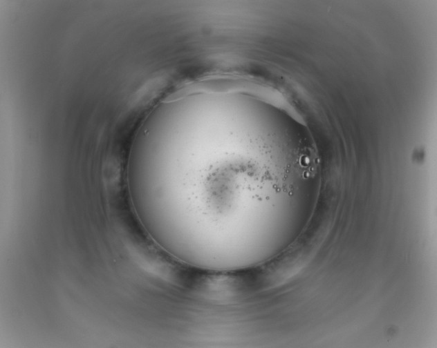 X0000091340268200709071224