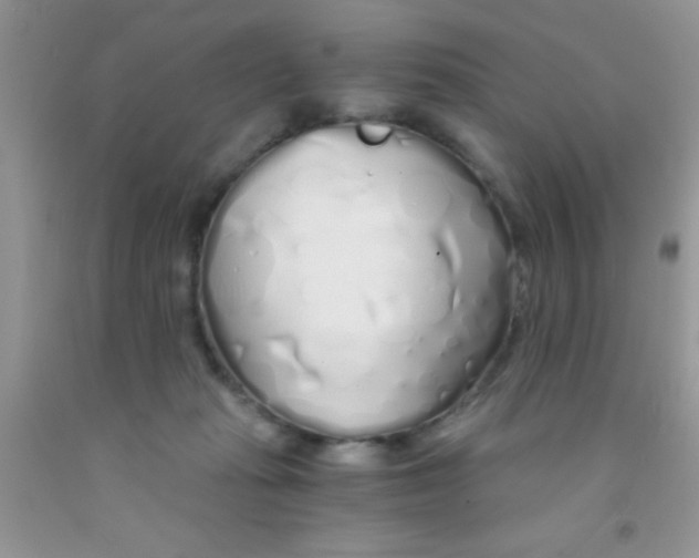 X0000091340269200709071224