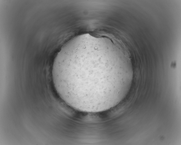 X0000091340270200709071224