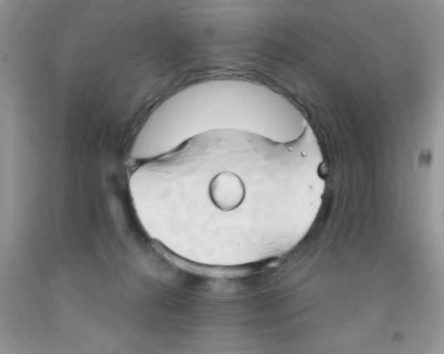 X0000091340272200709071224