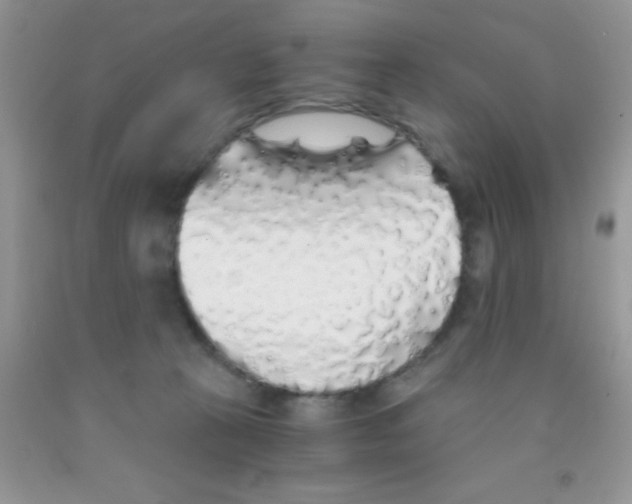 X0000091340273200709071224