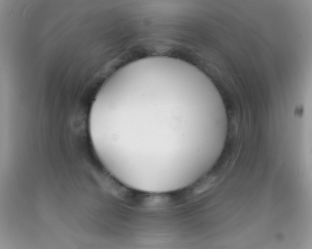 X0000091340274200709071224