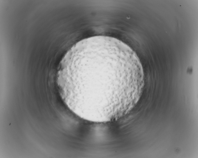 X0000091340275200709071224