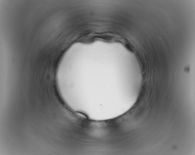 X0000091340277200709071224