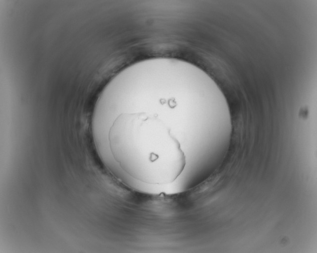 X0000091340278200709071224