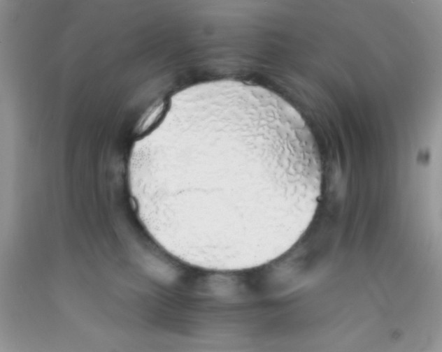 X0000091340279200709071224