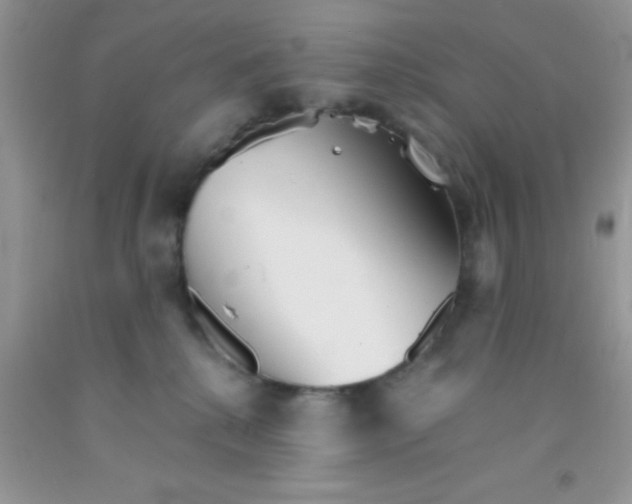 X0000091340280200709071224