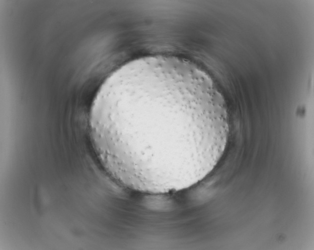 X0000091340281200709071224