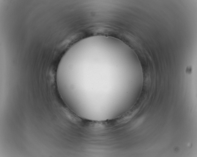 X0000091340282200709071224