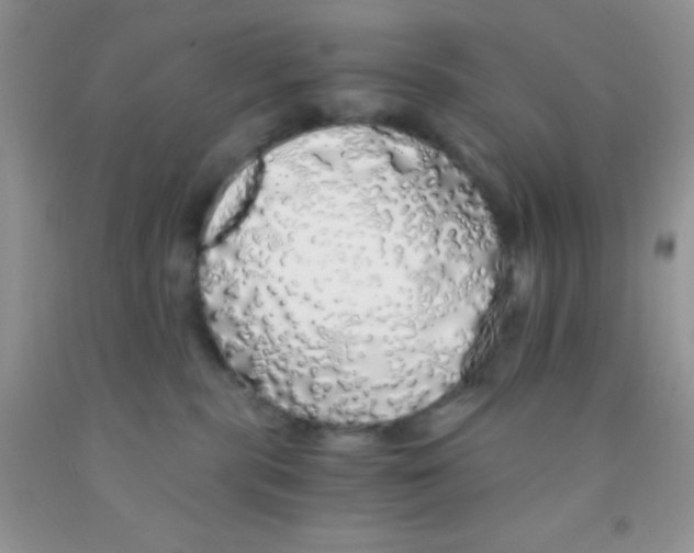 X0000091340283200709071224