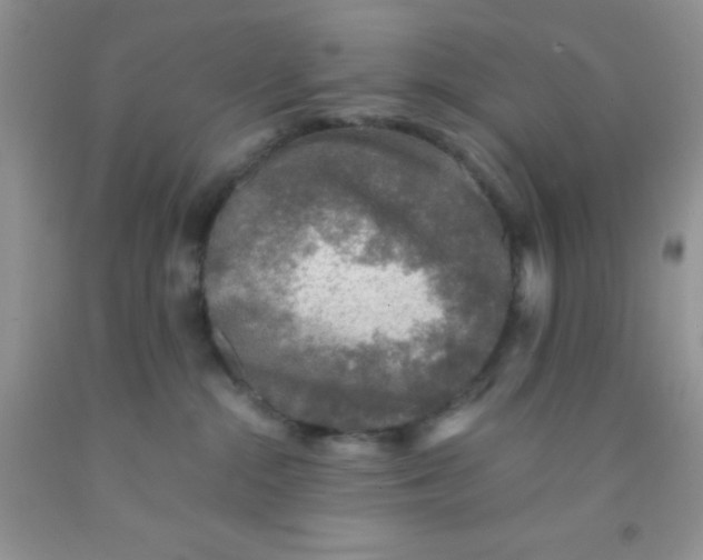 X0000091340284200709071224