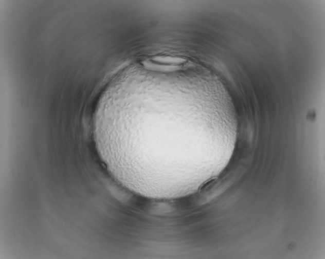 X0000091340285200709071224