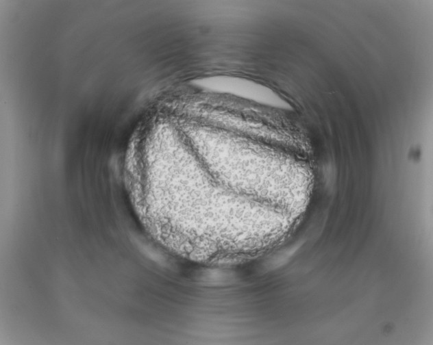 X0000091340286200709071224