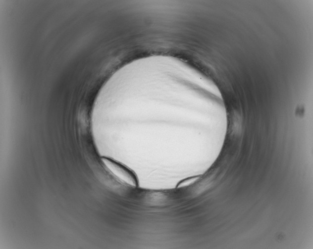 X0000091340287200709071224