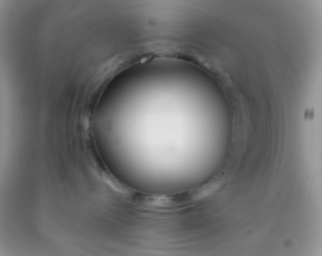 X0000091340288200709071224