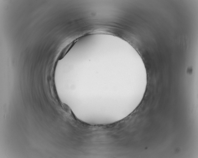 X0000091340289200709071224