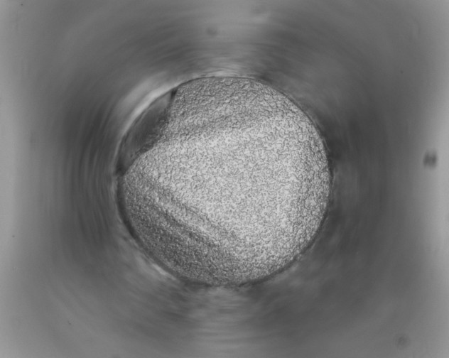 X0000091340290200709071223