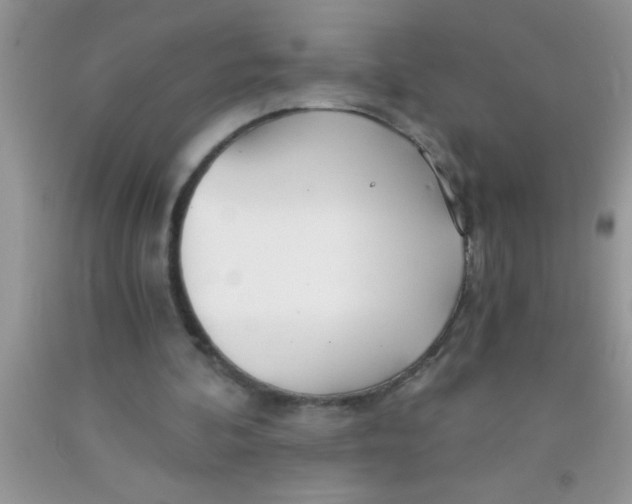 X0000091340292200709071223