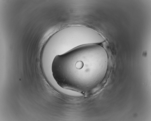 X0000091340293200709071223