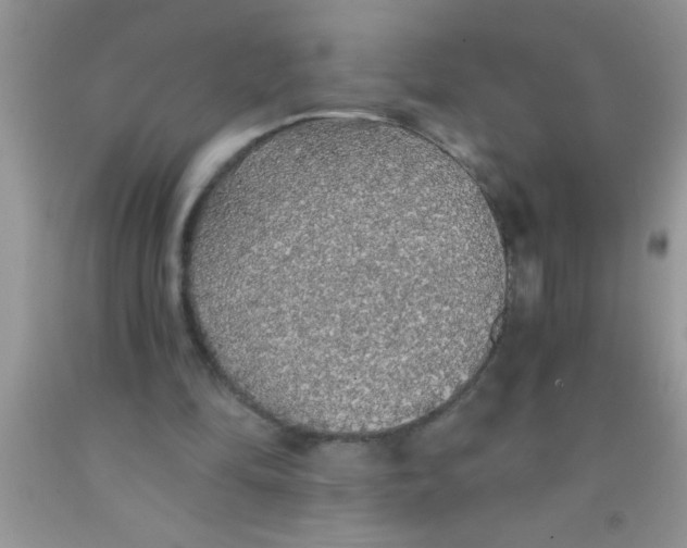 X0000091340294200709071223