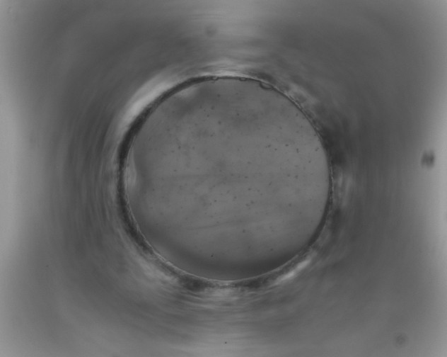 X0000091340295200709071223