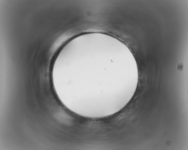 X0000091340296200709071223