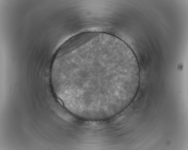 X0000091340297200709071223