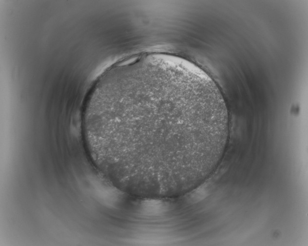 X0000091340298200709071223