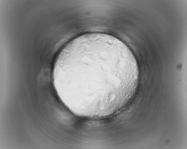 X0000091340299200709071223