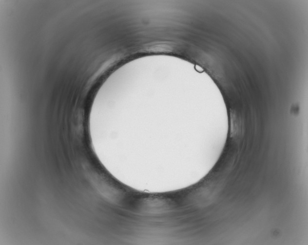 X0000091340300200709071223