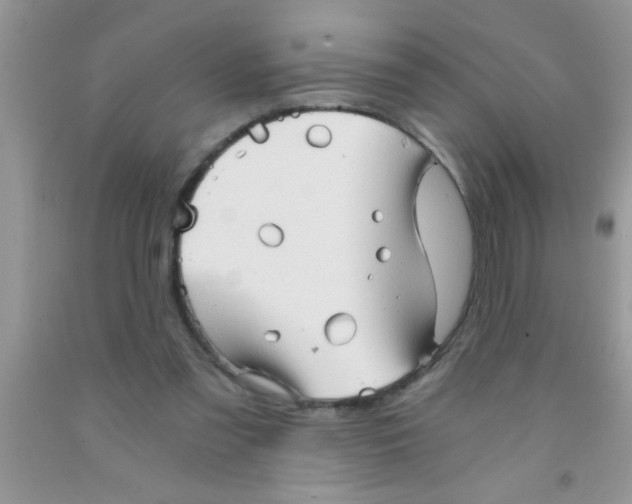 X0000091340301200709071223