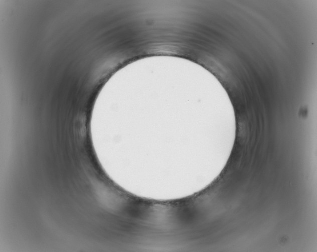 X0000091340302200709071223